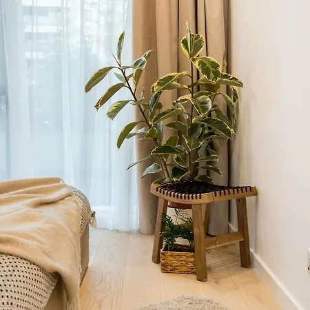 Botanlque 1br In Business Centre Apartament *